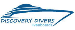 Discovery Divers